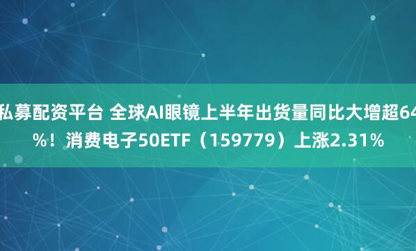 私募配资平台 全球AI眼镜上半年出货量同比大增超64%！消费电子50ETF（159779）上涨2.31%