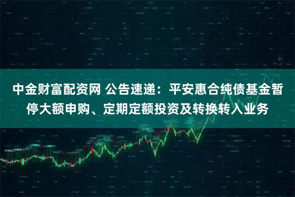 中金财富配资网 公告速递：平安惠合纯债基金暂停大额申购、定期定额投资及转换转入业务