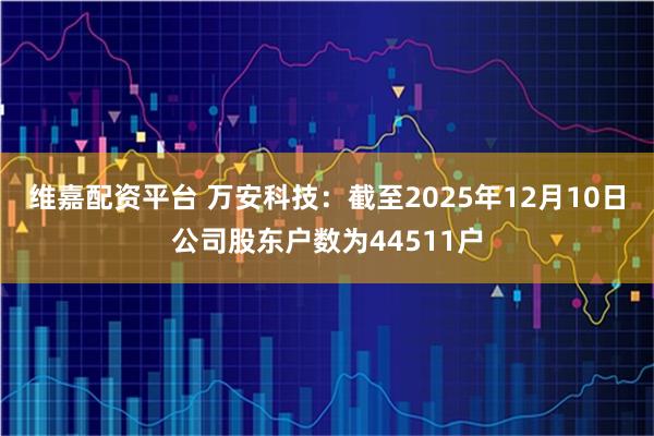 维嘉配资平台 万安科技：截至2025年12月10日公司股东户数为44511户